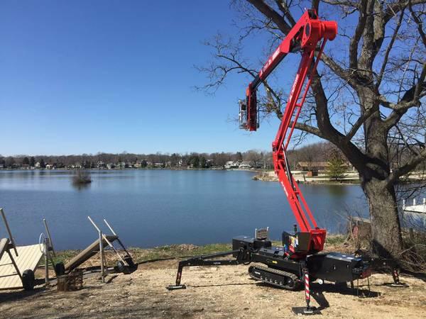 Limbwalkers Tree Service