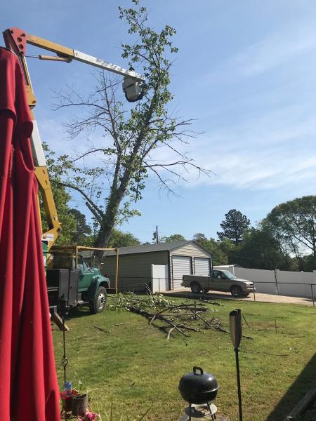 Mintz Tree Services Inc