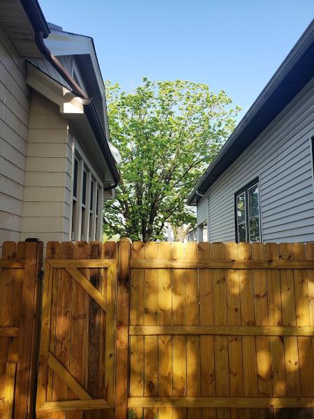 Tree & Snow Removal Services