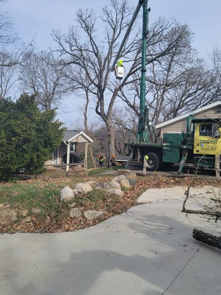 Tree & Snow Removal Services