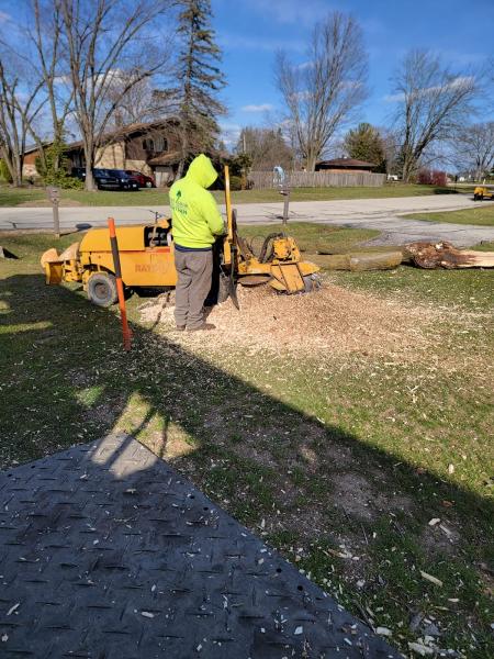 Tree & Snow Removal Services