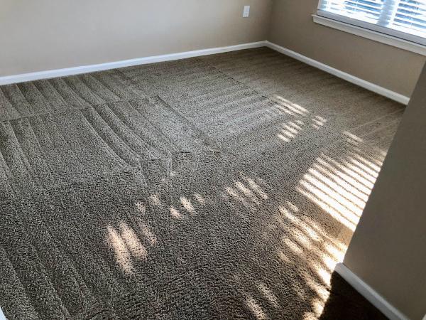 Carpet Doctors