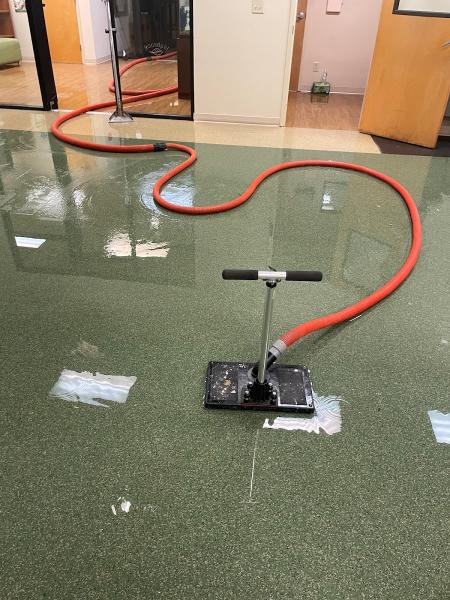 Carpet Doctors