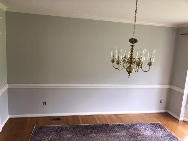 Saskya's Painting Renovations Cleaning