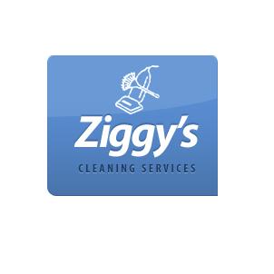 Ziggy's House Cleaning Service