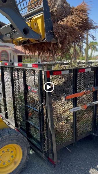 Arizona Tree Care and Services