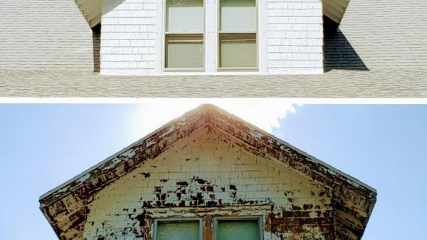 Cook Co. Paint Pro