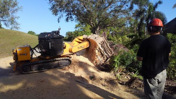 Stump Masters