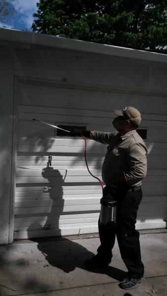 Rio Linda Pest Control