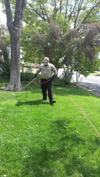 Rio Linda Pest Control