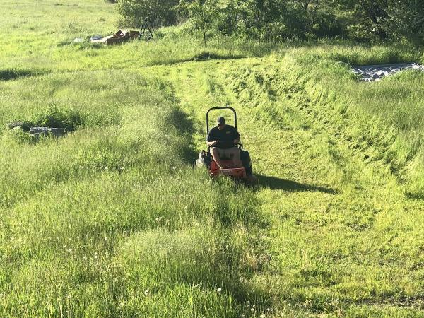 Disanto Landscaping & Excavation