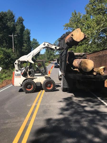 Kervin Bros Stump & Tree Co. LLC