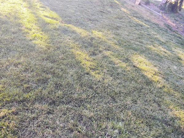 Intermountain Lawns