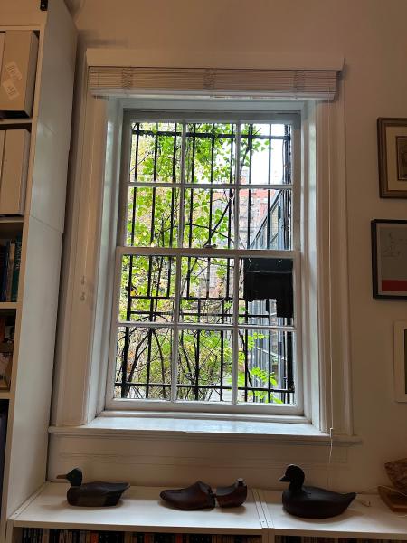 Empire Window Cleaning