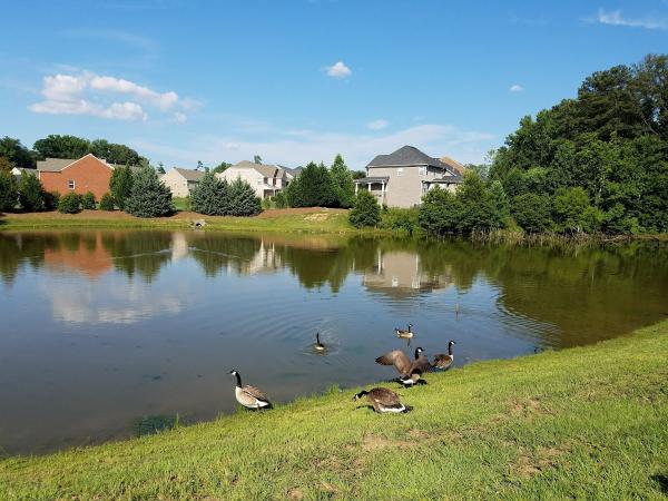 Bentwood at Sugarloaf by Pulte Homes