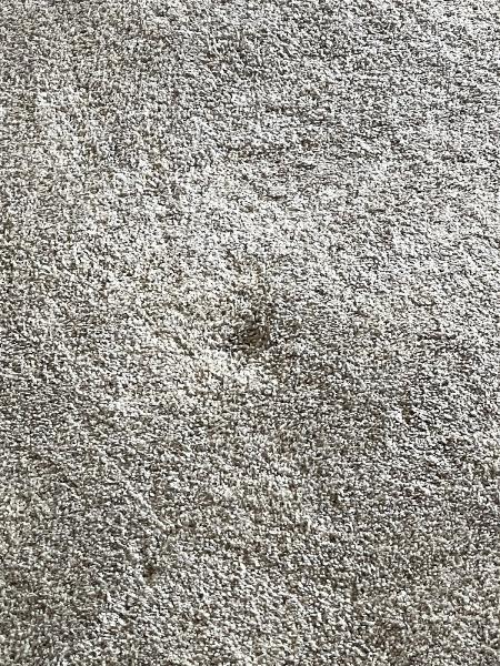 Mighty Mac Carpet Cleaning & Restoration