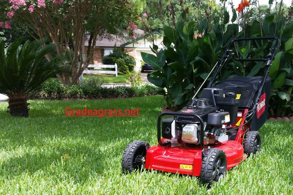 Gradeagrass Lawn Care & Landscaping