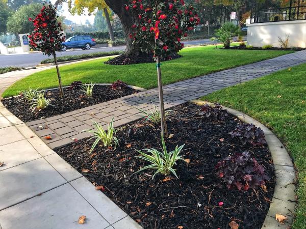 Figueroa Landscape Company Inc.