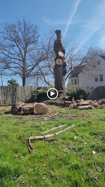 H&S Brothers Tree Service