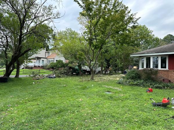 H&S Brothers Tree Service