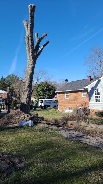 H&S Brothers Tree Service
