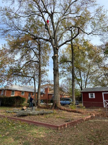 H&S Brothers Tree Service