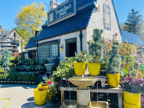 Tangletown Gardens