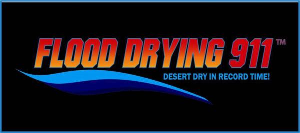 Flood Drying 911