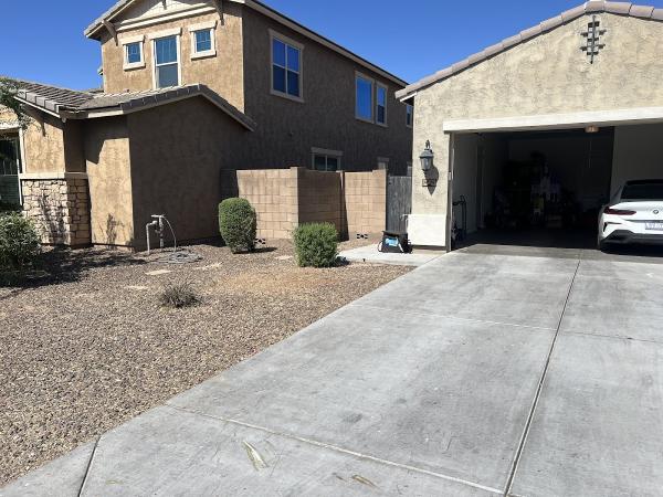 Arizona Tree Trimming & Removal Scottsdale