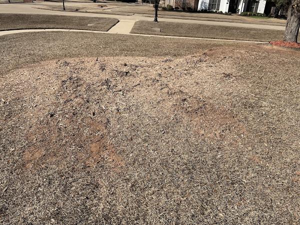 S & J Stump Removal LLC