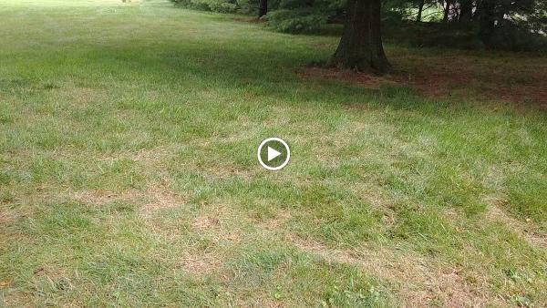 Helm Fencing Inc
