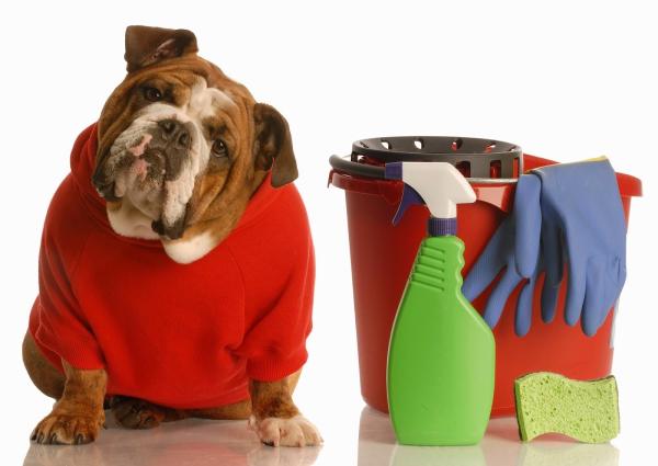 Garman's Cleaning