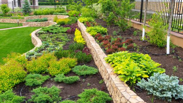 Paulie Works Landscape