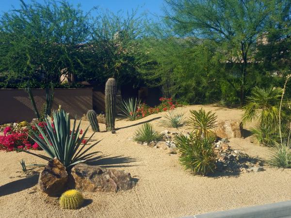 Water Wise Landscape