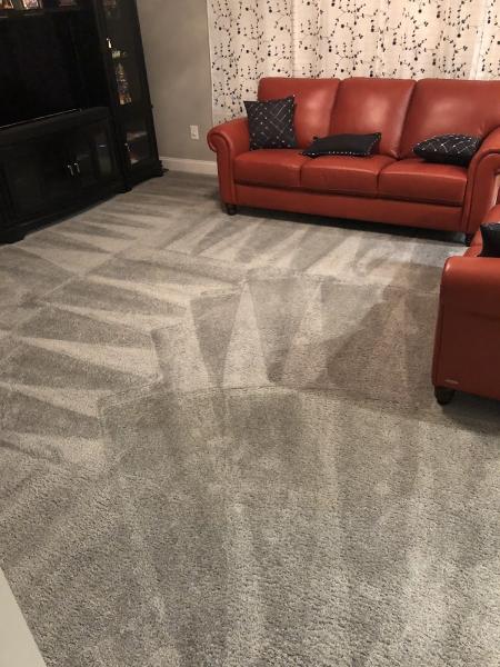 A Carpet's Dream