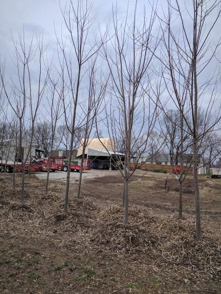 County Land Maintenance Inc