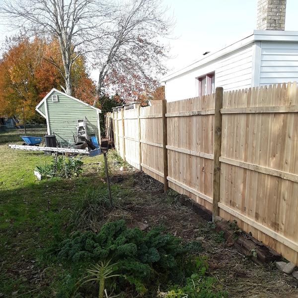 Tribal Fence