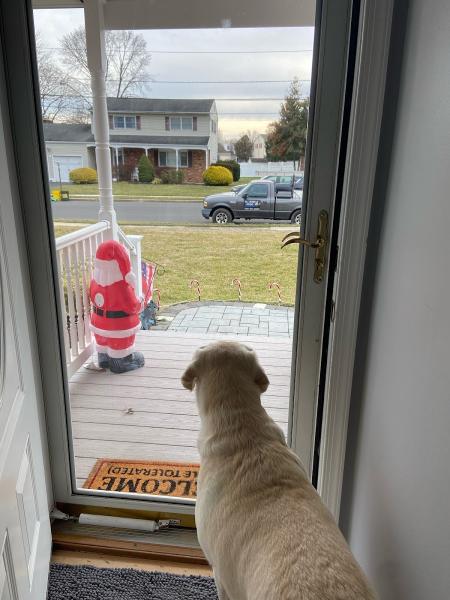All Bugs Aside Pest Control