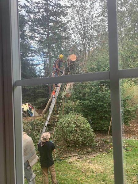 Complete Tree Care