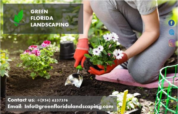 Green Florida Landscaping