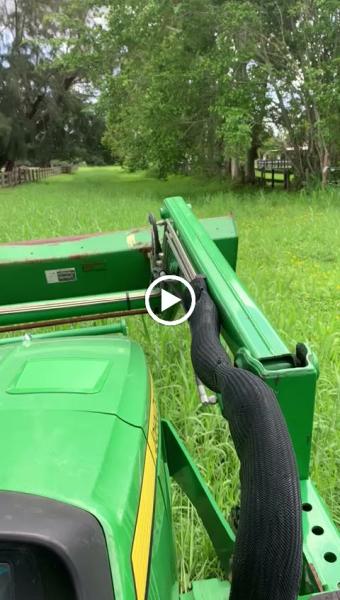 Green Florida Landscaping