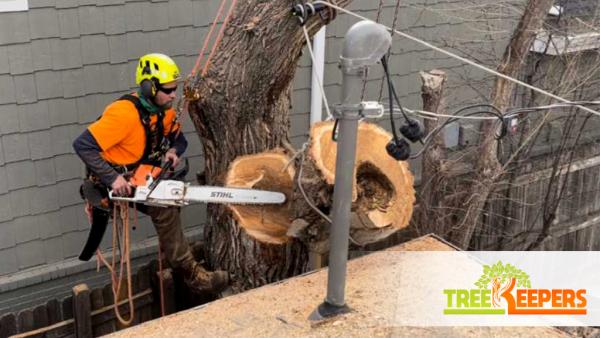 Tree Keepers LLC