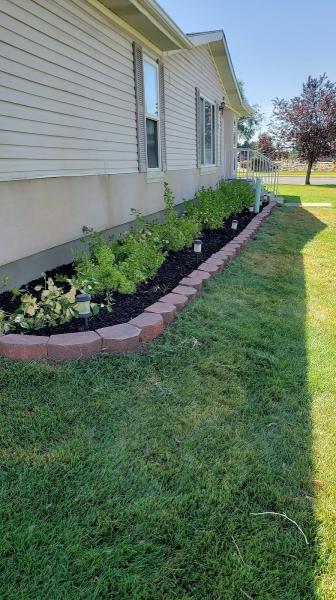 Black's Lawn and Junk