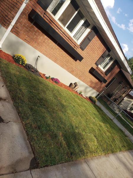 Black's Lawn and Junk