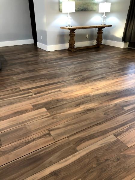 Healthy Home Carpet Cleaning Palm Coast