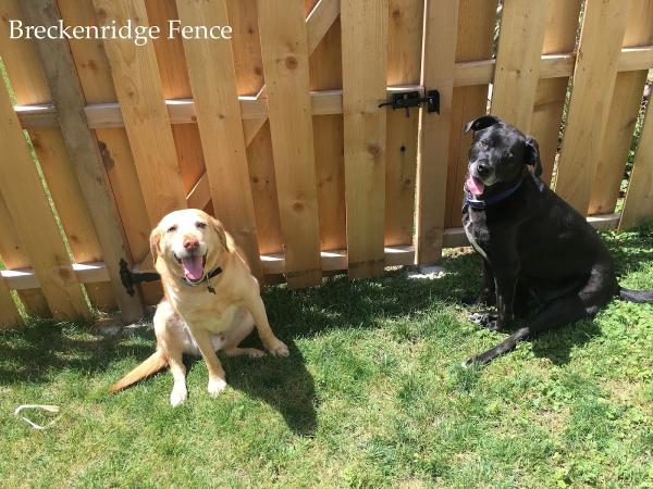 Breckenridge Fence