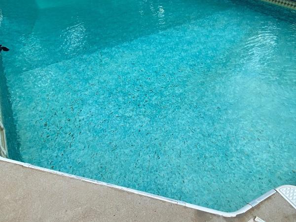 Pool Leak Doctors