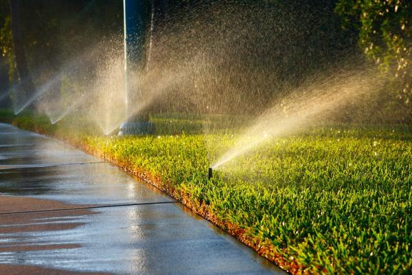 Creative Water