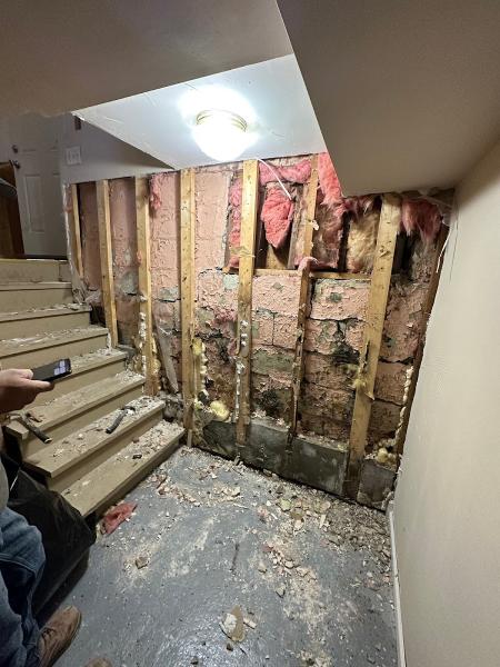 Custom Basement Solutions