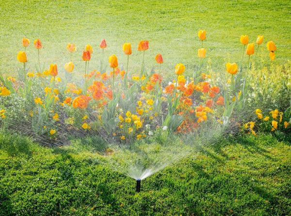Golden Landscapes Irrigation Incorporated